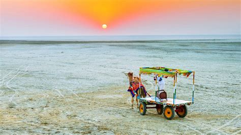 Kutch Rann Utsav 2024 - The Beginning of Rann Utsav Festival