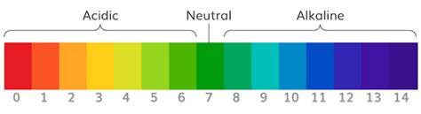 Using pH strips to test beer | How to Home Brew Beer