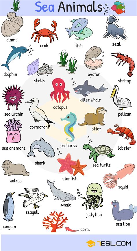 Sea Animals: Water, Ocean & Sea Animal Names with Images • 7ESL