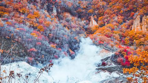 The Best Spots to See Autumn Leaves in Hokkaido - GaijinPot Travel