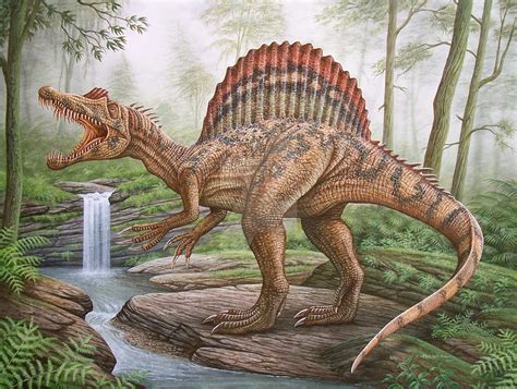 Spinosaurus by phillustr8r on DeviantArt