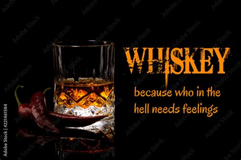 Whiskey Meme, because who in the hell needs feelings, funny memes and sayings Stock Photo ...