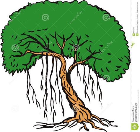 clipart rainforest trees 20 free Cliparts | Download images on Clipground 2024