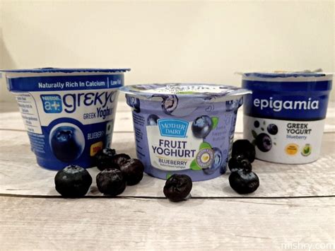 Best Blueberry Yogurt Brands in India – Mishry