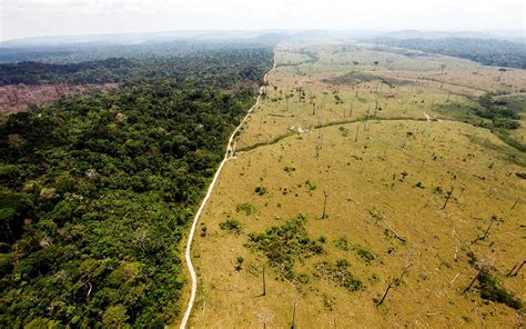 Using Satellites to Stop Deforestation Before It Happens | WIRED