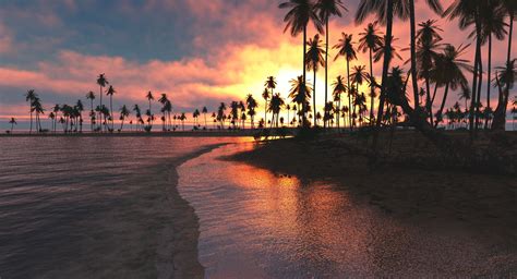 Palm Trees Sunset Sea Wallpaper,HD Nature Wallpapers,4k Wallpapers,Images,Backgrounds,Photos and ...