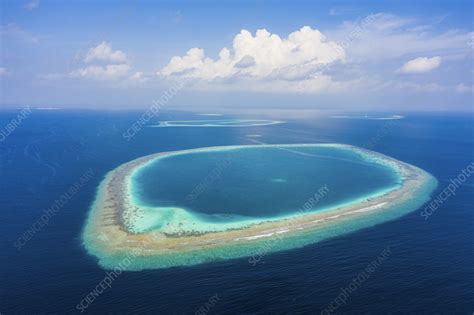 Aerial view of Atolls, Maldives - Stock Image - F039/1261 - Science ...