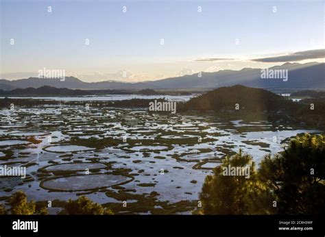 loktak lake manipur india Stock Photo - Alamy