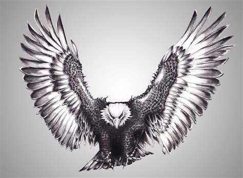 2048x1496 eagle pc backgrounds hd free (With images) | Eagle tattoos, Eagle wing tattoos, Eagle ...