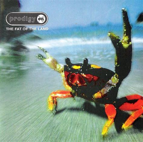 Prodigy* - The Fat Of The Land (CD) | Discogs