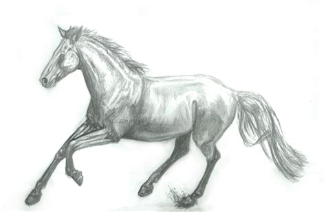 Galloping Horse by Arunea8 on DeviantArt