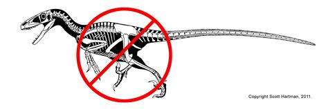 At long last... UtahraptorDr. Scott Hartman's Skeletal Drawing.com