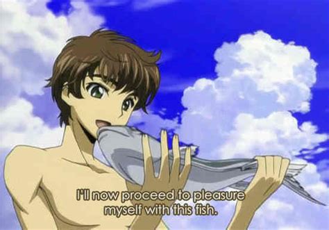 Subtitle Stupidity - English Dubbed Anime - Fanpop