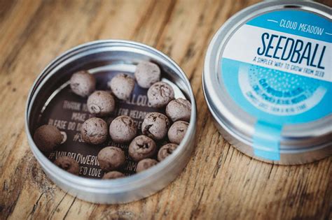 Seedball Seed Tins | These Two Hands | Handmade Gifts UK