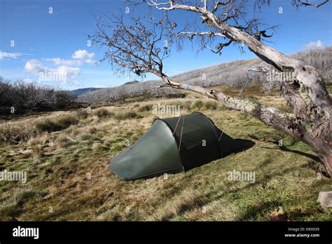 Camping in the Victorian Alps, Australia Stock Photo - Alamy