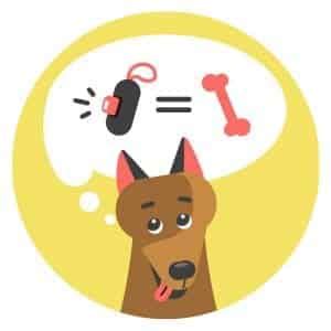 What is a Clicker? Why Should I Use It? - Dogo App