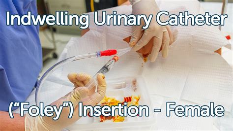 Foley Catheter Insertion Female How To Insert A Foley Catheter Sterile Technique – Otosection