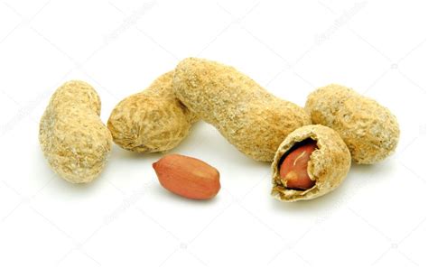 Ground nuts — Stock Photo © cristi180884 #5410444