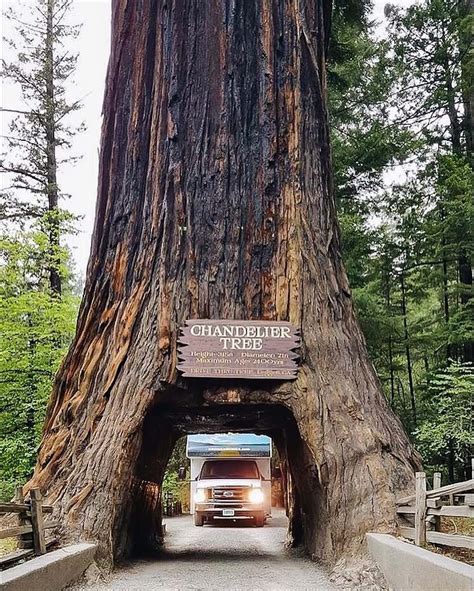 RV Camping in Redwood National Park - Cruise America