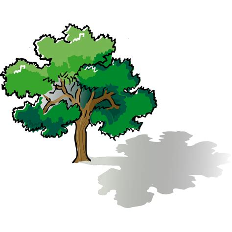 Oak Tree SVG Clip arts download - Download Clip Art, PNG Icon Arts