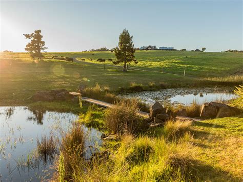 The Stunning Scenic Rim is Queensland’s Best-Kept Secret | Travel Insider