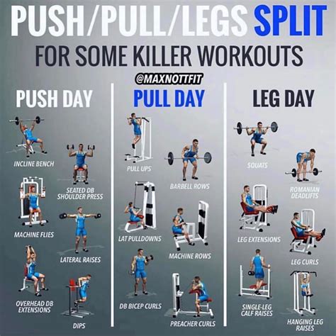 Push Pull Legs Workout Plan At Home – homeplan.one