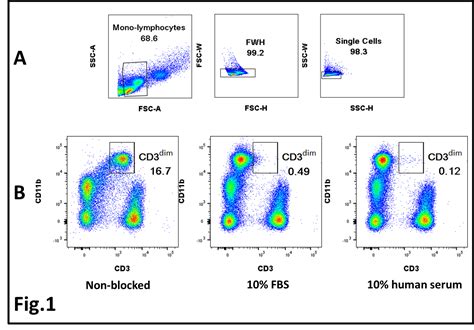 Blocking Fc receptors for flow cytometry