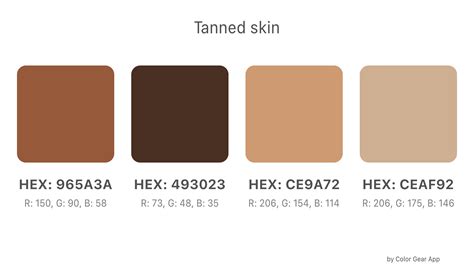 Harmonious Color palette Tanned skin | Brown color palette, Digital paint color, Hex color codes