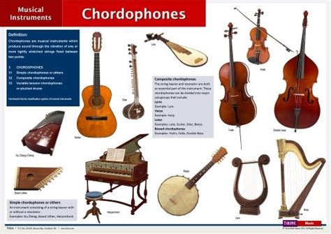 Chordophones. In the Hornbostel-Sachs classification system ...