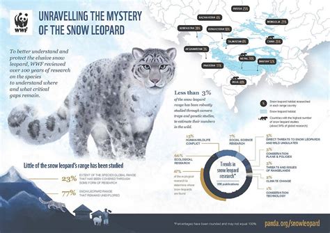 More than 70 per cent of snow leopard habitat remains unexplored: WWF report confirms | WWF