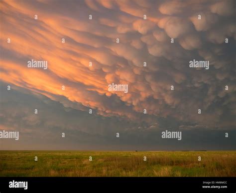 Mammatus Clouds at Sunset Stock Photo - Alamy