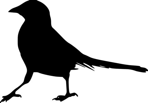 Bird Silhouette Clip Art Bird Silhouette Cliparts Png | Porn Sex Picture