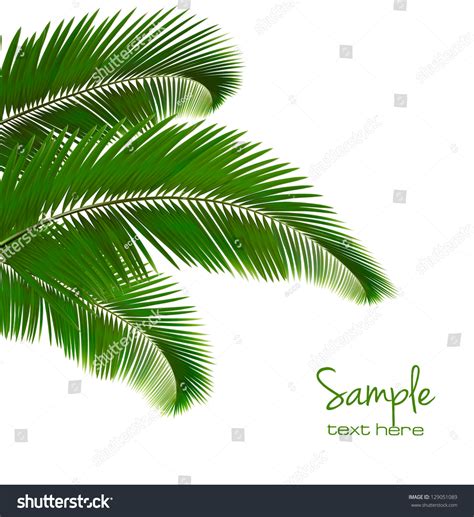 Background Palm Leaves Vector Illustration Stock Vector (Royalty Free ...