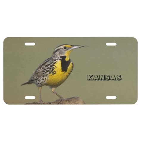 Kansas State Bird License Plate | Zazzle