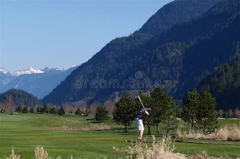 Fore stock image. Image of spring, golf, fairway, ball - 230353