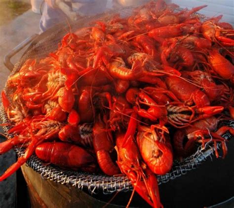 Best Crawfish Restaurants in Louisiana?