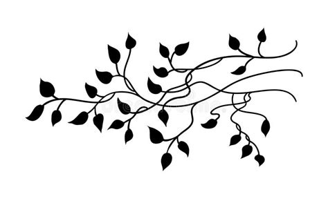 Ivy and Vines Vector with Pretty Leaves in Nature Border Design or Graphic Art Element Stock ...