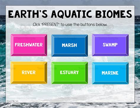 Aquatic Biomes Activity for Google Classroom by Teach Simple