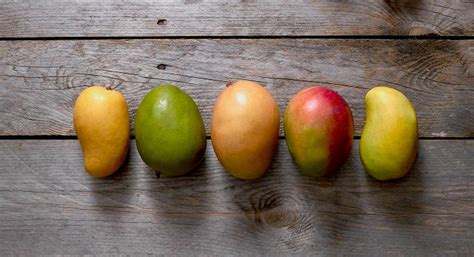 Mango Varieties - Learn About Different Types of Mangoes Varieties | Mango.org