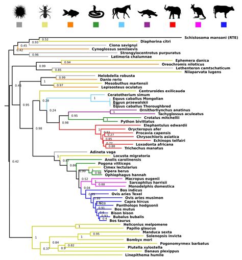 Jumping Genes Hop across Species to Stir Human Evolution