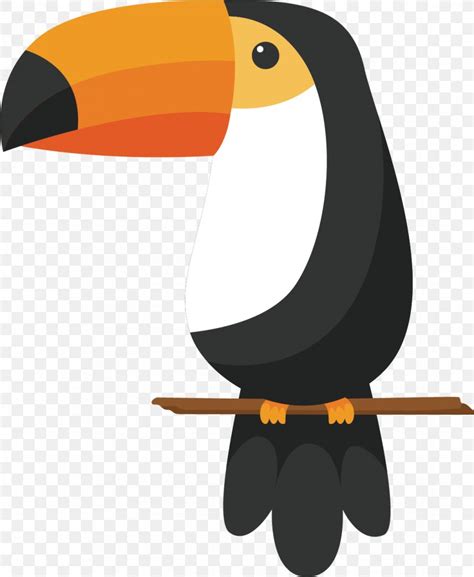 Bird Toco Toucan Drawing Keel-billed Toucan, PNG, 1082x1319px, Bird, Beak, Cartoon ...