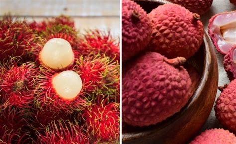 Rambutan vs Lychee Fruit - KitchenVile