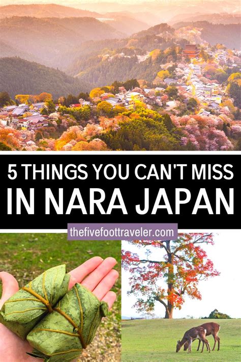 5 Things You Cannot Miss in Nara, Japan | Japan travel guide, Japan ...