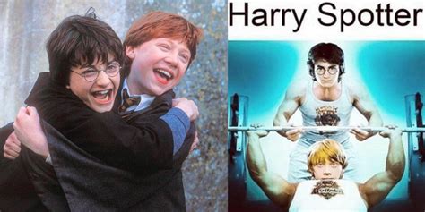 Harry Potter: 10 Memes That Perfectly Sum Up Harry & Ron's Friendship