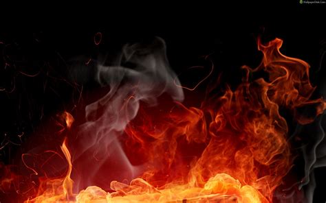 Free Fire Wallpaper - WallpaperSafari