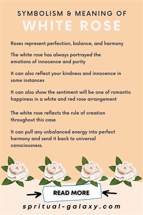 White Rose Meaning & Symbolism: Complete Guide! | Rose meaning, White roses meaning, White rose ...