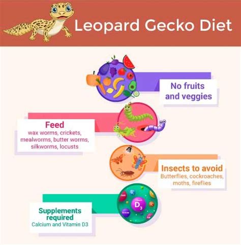 Leopard Gecko Diet: What Do Leopard Geckos Eat—or Not?