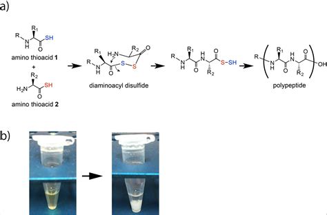 Artificial peptide bond formation provides clues to creation of life on Earth