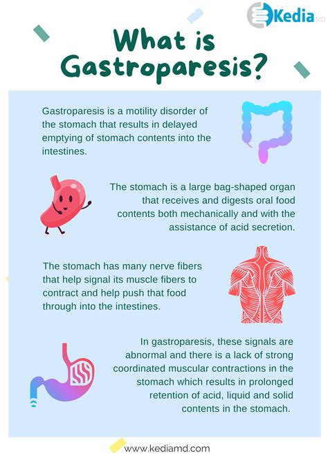 What Are The Main Causes Of Gastroparesis In Teens - PELAJARAN