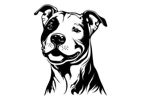 PITBULL SVG PITBULL Clipart Pitbull Svg Files for Cricut - Etsy